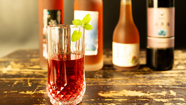 大型釀酒設(shè)備廠家釀楊梅酒的標(biāo)準(zhǔn)流程被公布，一起去看看吧！