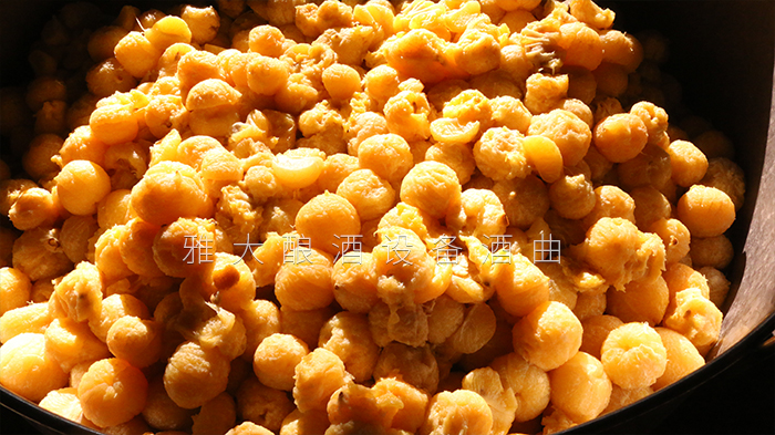 去皮皇帝柑釀酒技術(shù)-剝皮、加糖