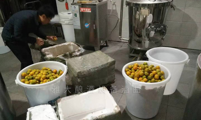 韶關謝總給雅大寄來的黃帝柑釀酒