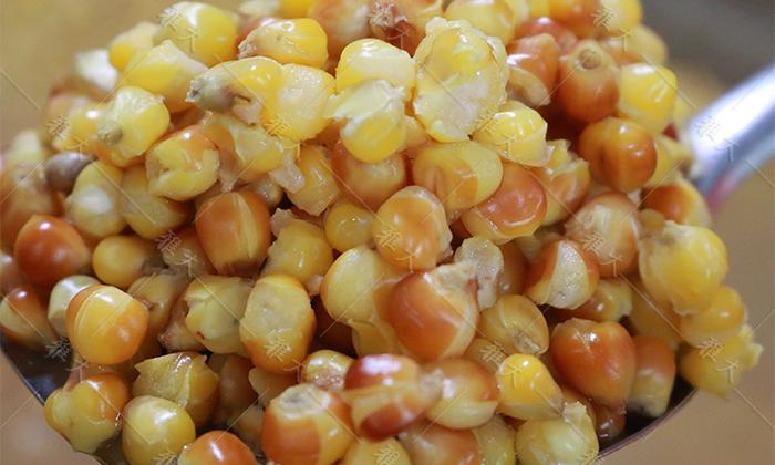 玉米蒸至開花率95%以上，外干內(nèi)軟