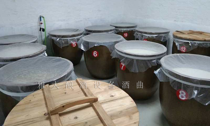 12.26干凈整潔的發(fā)酵車間、科學(xué)的管理