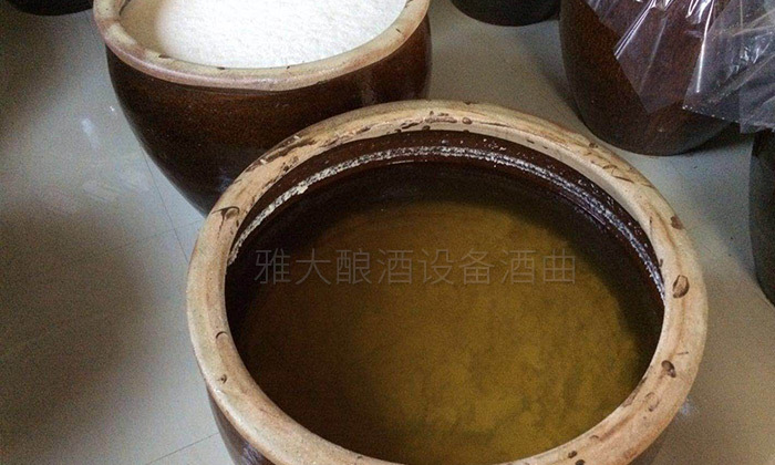 12-6大米半固態(tài)酒發(fā)酵完成，可以蒸酒了